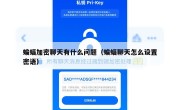 蝙蝠加密聊天有什么问题（蝙蝠聊天怎么设置密语）