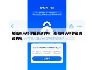 蝙蝠聊天软件是腾讯的嘛（蝙蝠聊天软件是腾讯的嘛）