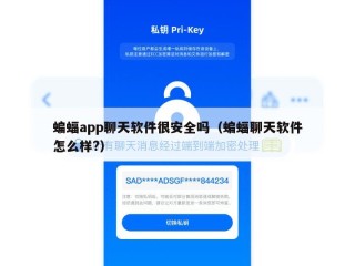 蝙蝠app聊天软件很安全吗（蝙蝠聊天软件怎么样?）