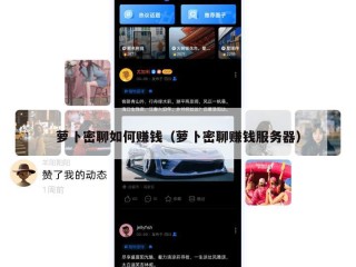 萝卜密聊如何赚钱（萝卜密聊赚钱服务器）