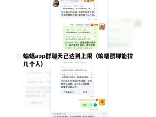 蝙蝠app群聊天已达到上限（蝙蝠群聊能拉几个人）