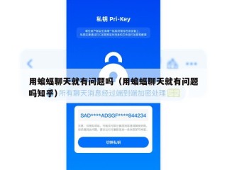 用蝙蝠聊天就有问题吗（用蝙蝠聊天就有问题吗知乎）