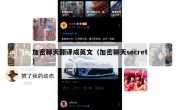 加密聊天翻译成英文（加密聊天secret）