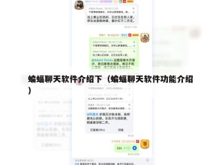 蝙蝠聊天软件介绍下（蝙蝠聊天软件功能介绍）