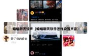 蝙蝠聊天铃声（蝙蝠聊天软件怎样设置声音）