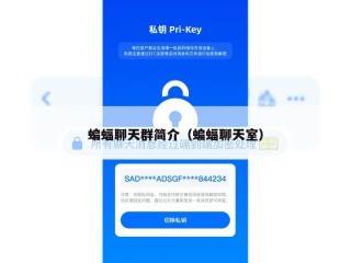 蝙蝠聊天群简介（蝙蝠聊天室）