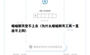 蝙蝠聊天登不上去（为什么蝙蝠聊天工具一直连不上网）