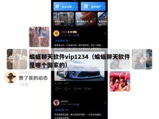 蝙蝠聊天软件vip1234（蝙蝠聊天软件是哪个国家的）