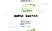 蝙蝠聊天器（蝙蝠聊天应用）