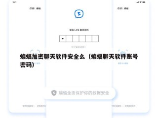 蝙蝠加密聊天软件安全么（蝙蝠聊天软件账号密码）