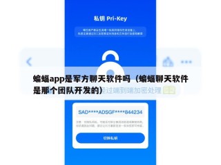 蝙蝠app是军方聊天软件吗（蝙蝠聊天软件是那个团队开发的）