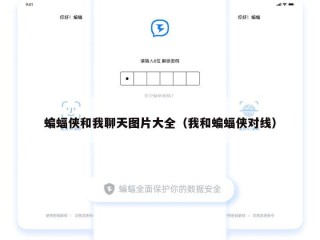 蝙蝠侠和我聊天图片大全（我和蝙蝠侠对线）