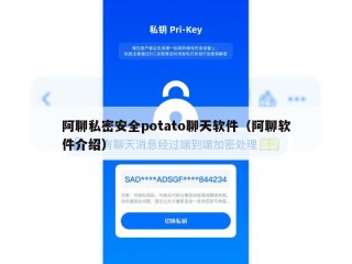 阿聊私密安全potato聊天软件（阿聊软件介绍）