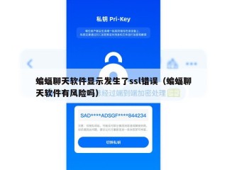 蝙蝠聊天软件显示发生了ssl错误（蝙蝠聊天软件有风险吗）