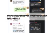 聊天可以加密吗软件苹果（苹果手机可以聊天的那个叫什么）