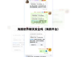 海鸥软件聊天安全吗（海鸥平台）