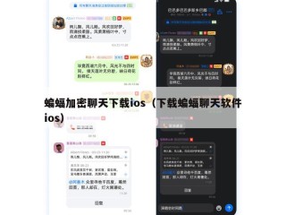 蝙蝠加密聊天下载ios（下载蝙蝠聊天软件ios）
