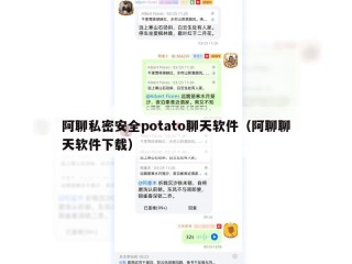阿聊私密安全potato聊天软件（阿聊聊天软件下载）