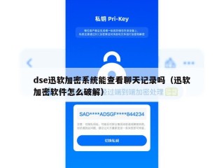 dse迅软加密系统能查看聊天记录吗（迅软加密软件怎么破解）