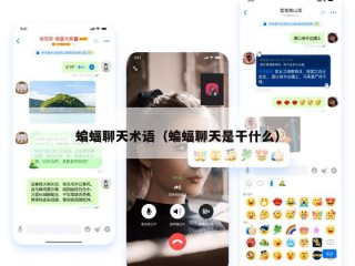 蝙蝠聊天术语（蝙蝠聊天是干什么）