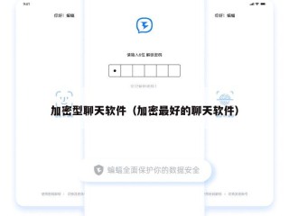 加密型聊天软件（加密最好的聊天软件）