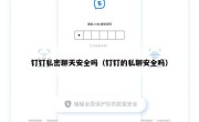 钉钉私密聊天安全吗（钉钉的私聊安全吗）