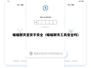 蝙蝠聊天室安不安全（蝙蝠聊天工具安全吗）