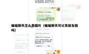 蝙蝠聊天怎么发图片（蝙蝠聊天可以发朋友圈吗）