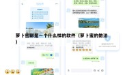 萝卜密聊是一个什么样的软件（萝卜蜜的做法）
