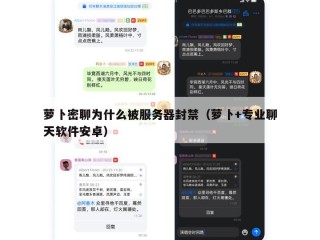 萝卜密聊为什么被服务器封禁（萝卜+专业聊天软件安卓）