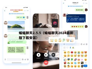 蝙蝠聊天2.5.5（蝙蝠聊天2024最新版下载安装）