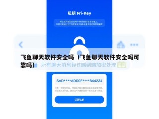 飞鱼聊天软件安全吗（飞鱼聊天软件安全吗可靠吗）