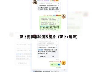 萝卜密聊群如何发图片（萝卜+聊天）