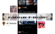 萝卜密聊为什么被封（萝卜蜜有什么营养?）