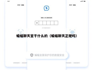 蝙蝠聊天室干什么的（蝙蝠聊天正规吗）