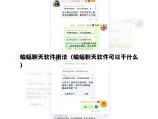 蝙蝠聊天软件用法（蝙蝠聊天软件可以干什么）