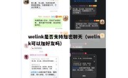 welink是否支持加密聊天（welink可以加好友吗）