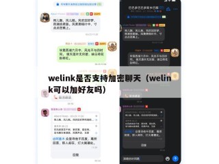 welink是否支持加密聊天（welink可以加好友吗）