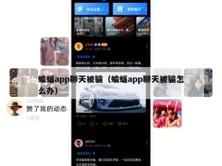 蝙蝠app聊天被骗（蝙蝠app聊天被骗怎么办）