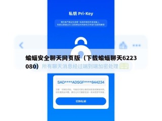 蝙蝠安全聊天网页版（下载蝙蝠聊天6223080）