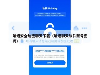 蝙蝠安全加密聊天下载（蝙蝠聊天软件账号密码）