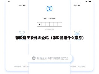 雅致聊天软件安全吗（雅致是指什么意思）