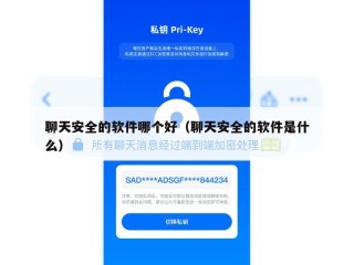 聊天安全的软件哪个好（聊天安全的软件是什么）