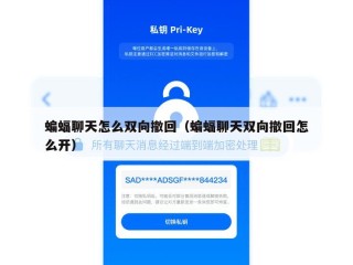 蝙蝠聊天怎么双向撤回（蝙蝠聊天双向撤回怎么开）