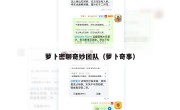 萝卜密聊奇妙团队（萝卜奇事）