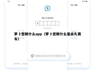 萝卜密聊什么app（萝卜密聊什么是永久赛车）