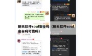 聊天软件soul安全吗（聊天软件soul安全吗可靠吗）
