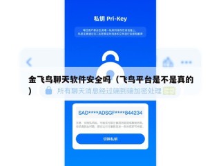 金飞鸟聊天软件安全吗（飞鸟平台是不是真的）