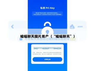 蝙蝠聊天图片用户（“蝙蝠聊天”）