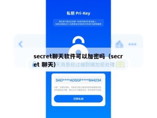 secret聊天软件可以加密吗（secret 聊天）